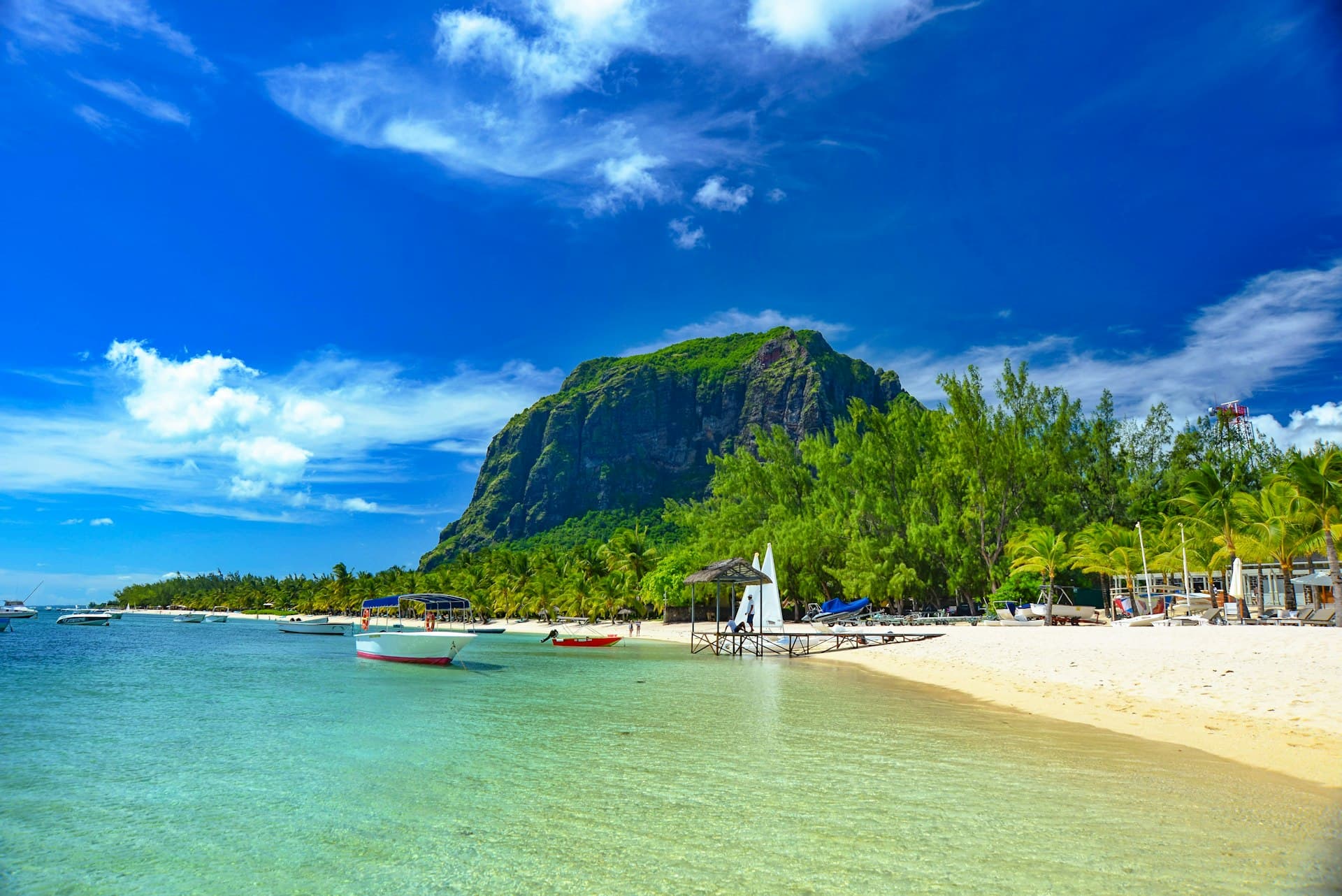 Contact - Immo Des Hauts premium real estate services in Mauritius - Luxury properties, investment opportunities and expert consultancy in Curepipe and across the island